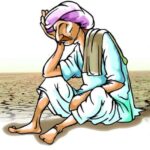 ज्यादा बारिश से मिर्च की फसल को भारी नुकसान