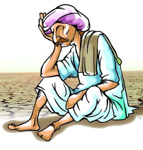 ज्यादा बारिश से मिर्च की फसल को भारी…