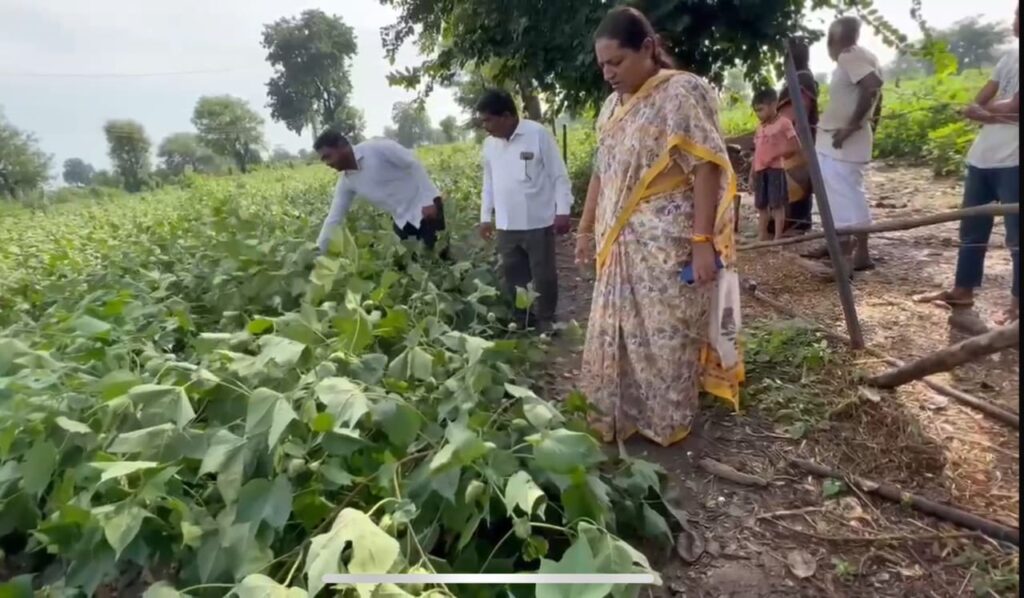 बेमौसम बारिश से किसानों को हुआ नुकसान: यशोमति ठाकुर ने सरकार से मदद की मांग