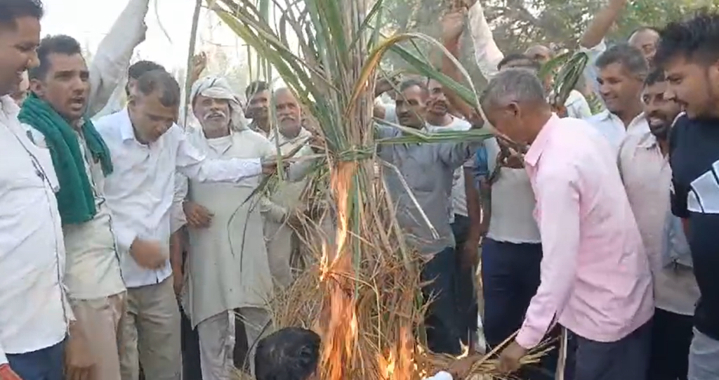 किसानों ने बीडवी शुगर मिल सेंटर के खिलाफ धरना प्रदर्शन कर गन्ने की होली जलाई