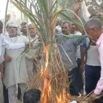 किसानों ने बीडवी शुगर मिल सेंटर के खिलाफ धरना प्रदर्शन कर गन्ने की होली जलाई